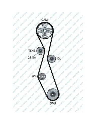 941052 Correa dentada Dayco