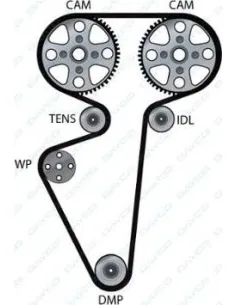 941072 Correa dentada Dayco