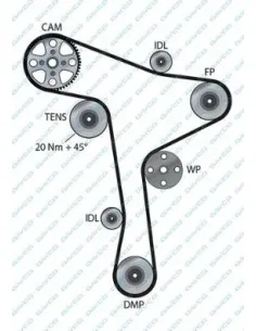 941105 Correa dentada Dayco