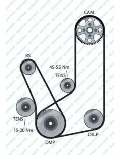 Manguito Radiador Seat Toledo