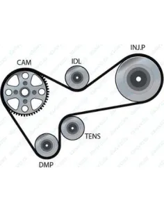 Manguito Radiador X1