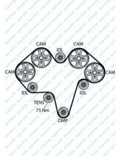 Manguito Radiador X5