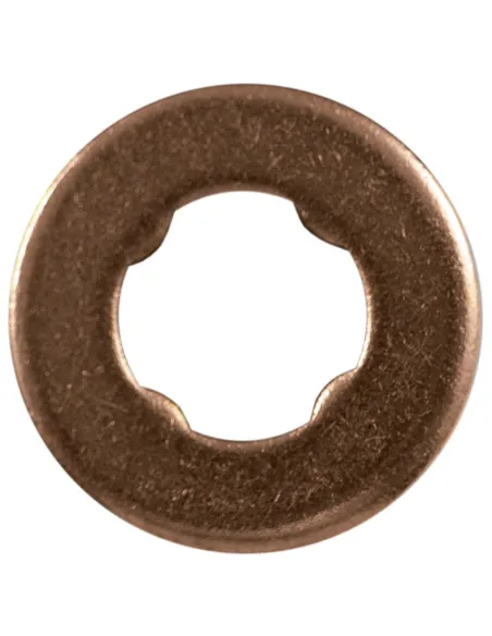 13948 Bolsa De 30 Arandelas De Cobre Para Inyectores - 15.0X7.5X JBM