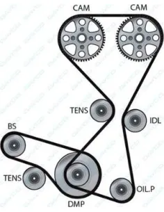 Juego Manguitos Radiador Leon