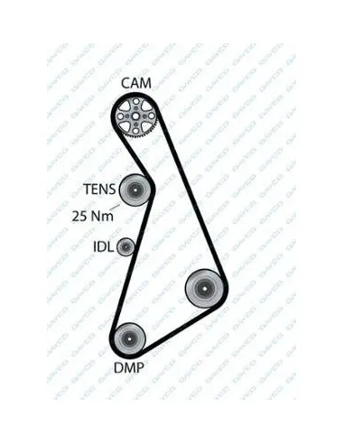 94843 Correa dentada Dayco