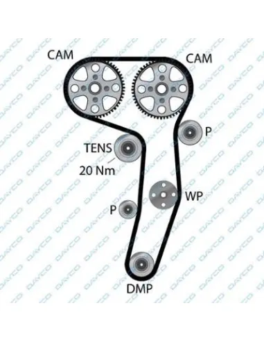 94979 Correa dentada Dayco