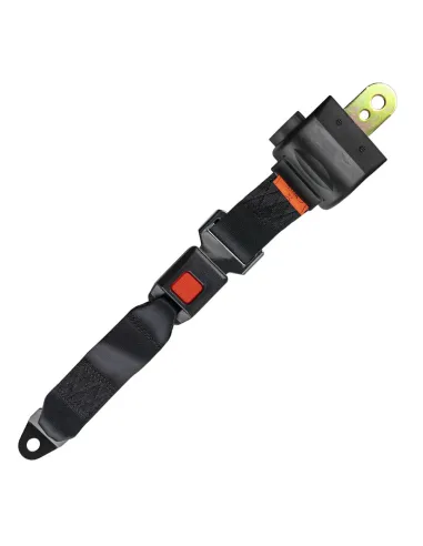 Cinturón de Seguridad de 2 Puntos JBM 50717