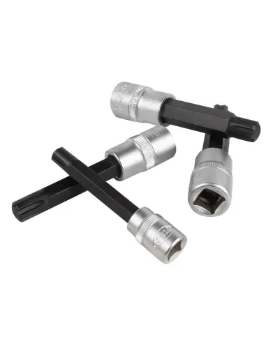 50980 Juego De Puntas Ribe JBM