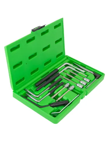 51501 Set De 12 Piezas Para La Extracción De...