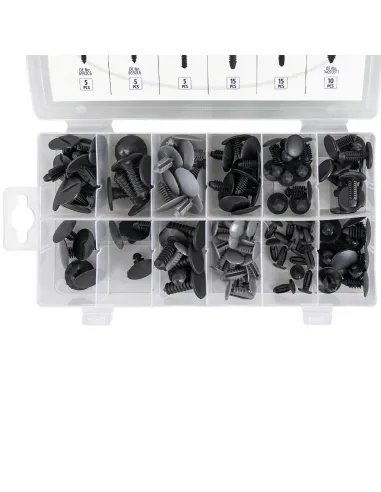 53715 Estuche De Clips Peugeot/Citroã‹n 110 Pcs...