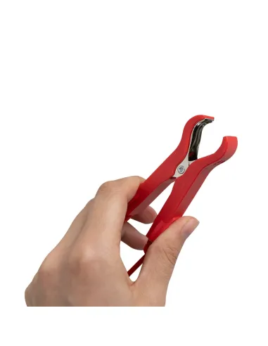 53929 Cargador De Bateria 12/24V JBM