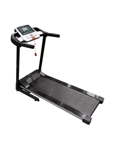 53934 Cinta De Correr JBM