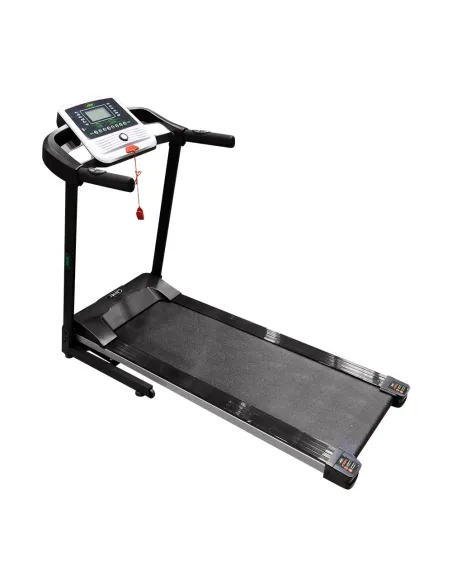 53934 Cinta De Correr JBM