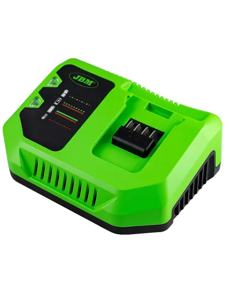 60016 Cargador 20V - 4A JBM