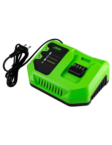 60016 Cargador 20V - 4A JBM