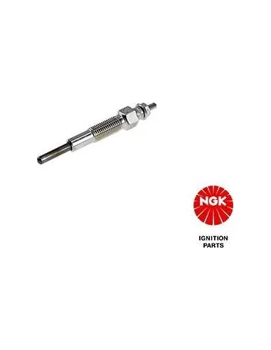 NGK1253