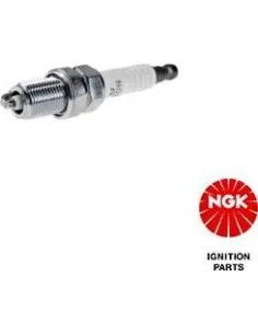 NGK1269