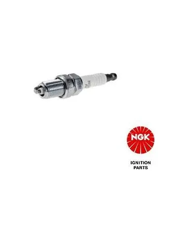 NGK1269