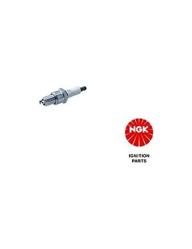NGK3106
