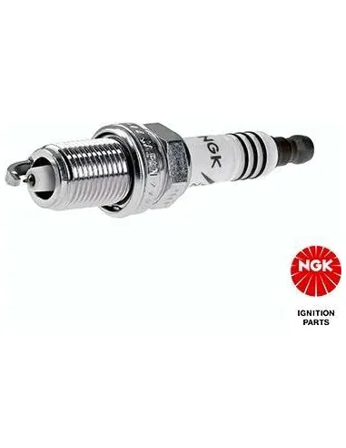 NGK6441