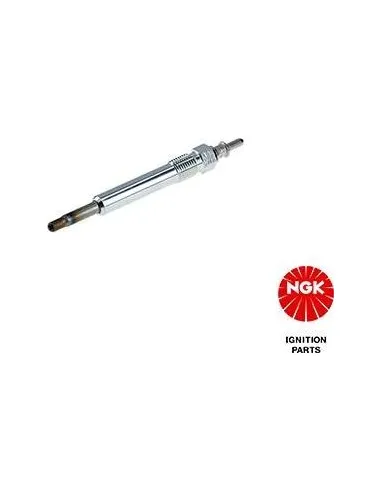 NGK6848