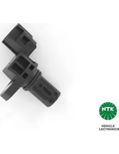 NGK81058