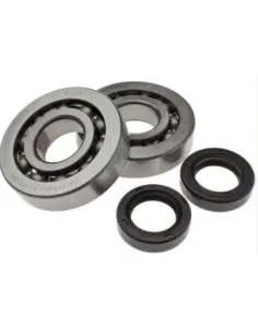 KIT COJINETES RETENES PIAGGIO 50