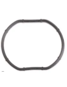 55351449 Junta,Carcasa De Termostato