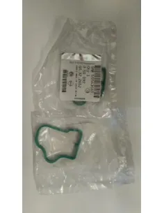 55563660 Junta Colector Admisin	Peugeot Citroen Ds Opel...