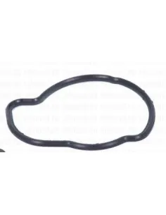 9157000 Junta Termostato