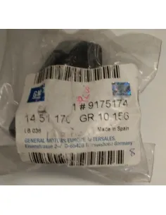 9175174 Tobera Limpiaparabrisa Trasero Original Opel Astra G