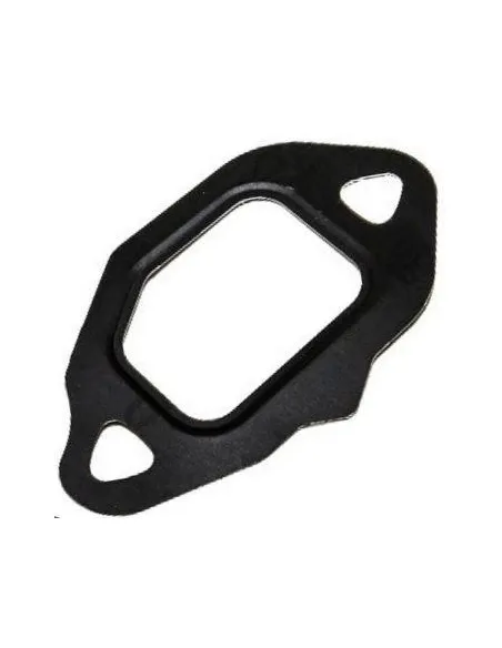 JUNTA MDULO RECICLADO GASES	Peugeot Citroen DS Opel