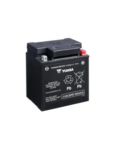 Yuasa YIX30L-PW 12V High Performance Batería sin...