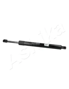 ZSA04060