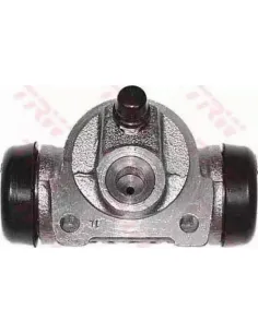 Rodillo de freno Citroën / Dacia BWH169 Ø 22,2 mm