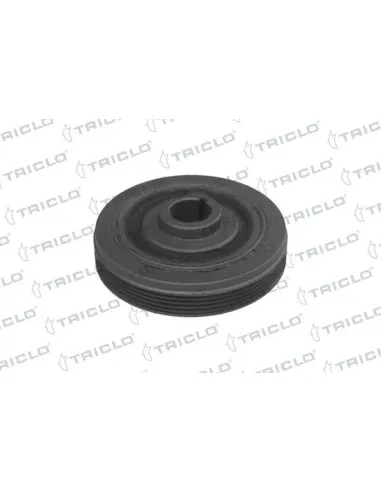 Polea cigüeñal bx motores 1. 769/1905 c. c. diesel Triclo 421206