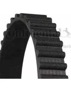 Continental CT1061 - Polea inversión / guía correa...