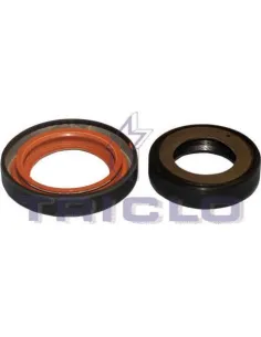 Kit montaje colector escape ax (con catalizador) Triclo 671671