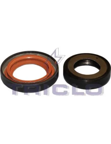Kit montaje colector escape ax (con catalizador) Triclo 671671
