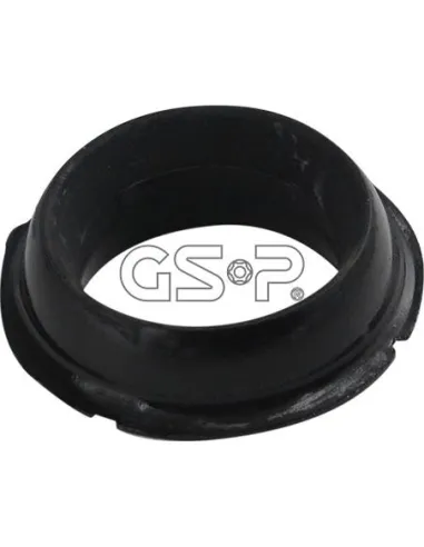 GSP510710