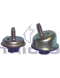 Soporte motor izquierdo 1. 1/1. 4/1. 6 / 1. 4 hdi Triclo 361630