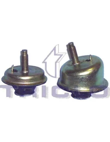 Soporte motor izquierdo 1. 1/1. 4/1. 6 / 1. 4 hdi Triclo 361630
