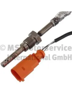 Pierburg 7.08369.03.0 - Sensor temp. gas escape Golf V
