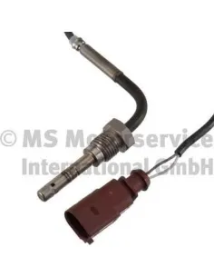 Pierburg 7.08369.02.0 - Sensor temp. gas escape Golf V