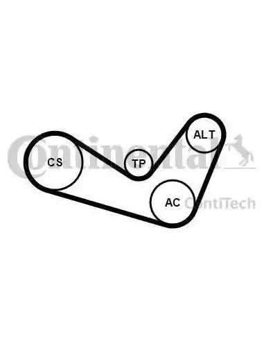 Continental 6PK1050K1 - Juego de correas...