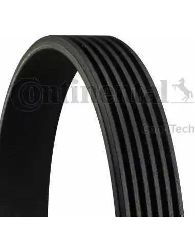 Continental 6 PK 842 ELAST - Correa trapecial...