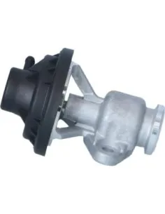 Válvula EGR VW 48615