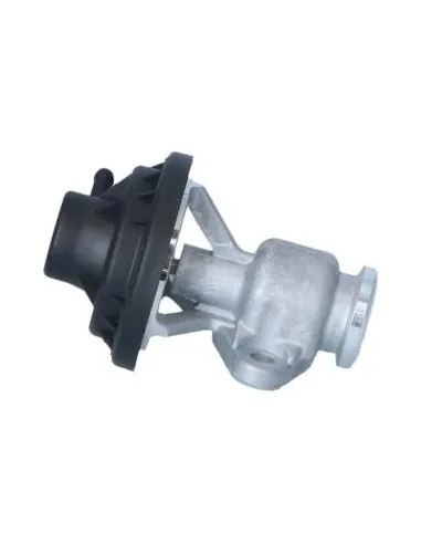 Válvula EGR VW 48615