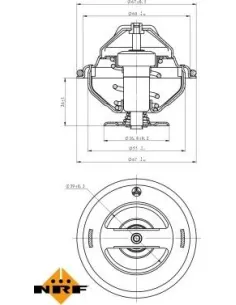 NRF 725063 - Termostato refrigerante Golf V