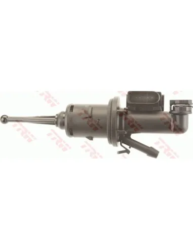 PNB481